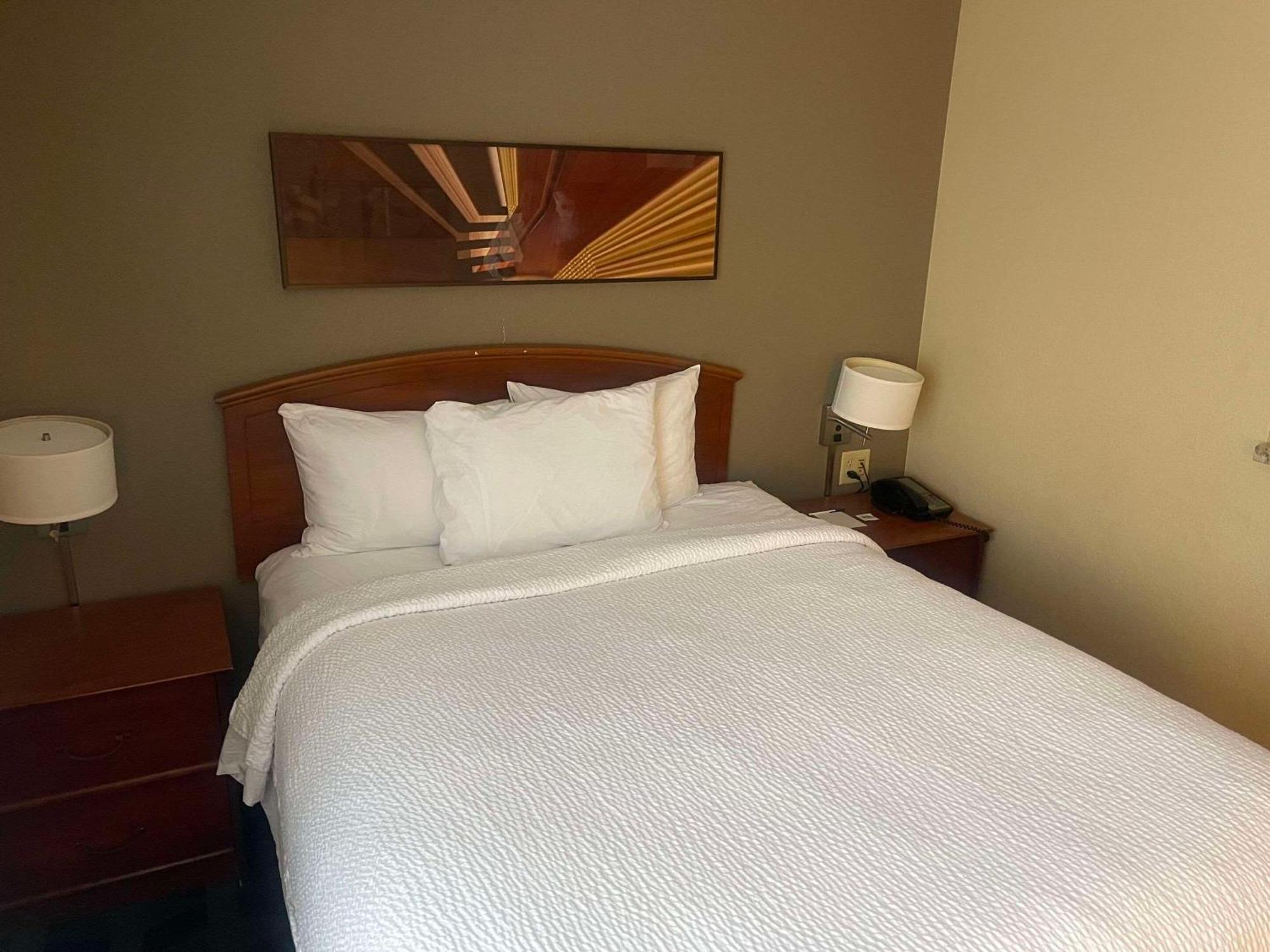 Mainstay Suites Tampa Moffitt-Usf Temple Terrace Extérieur photo