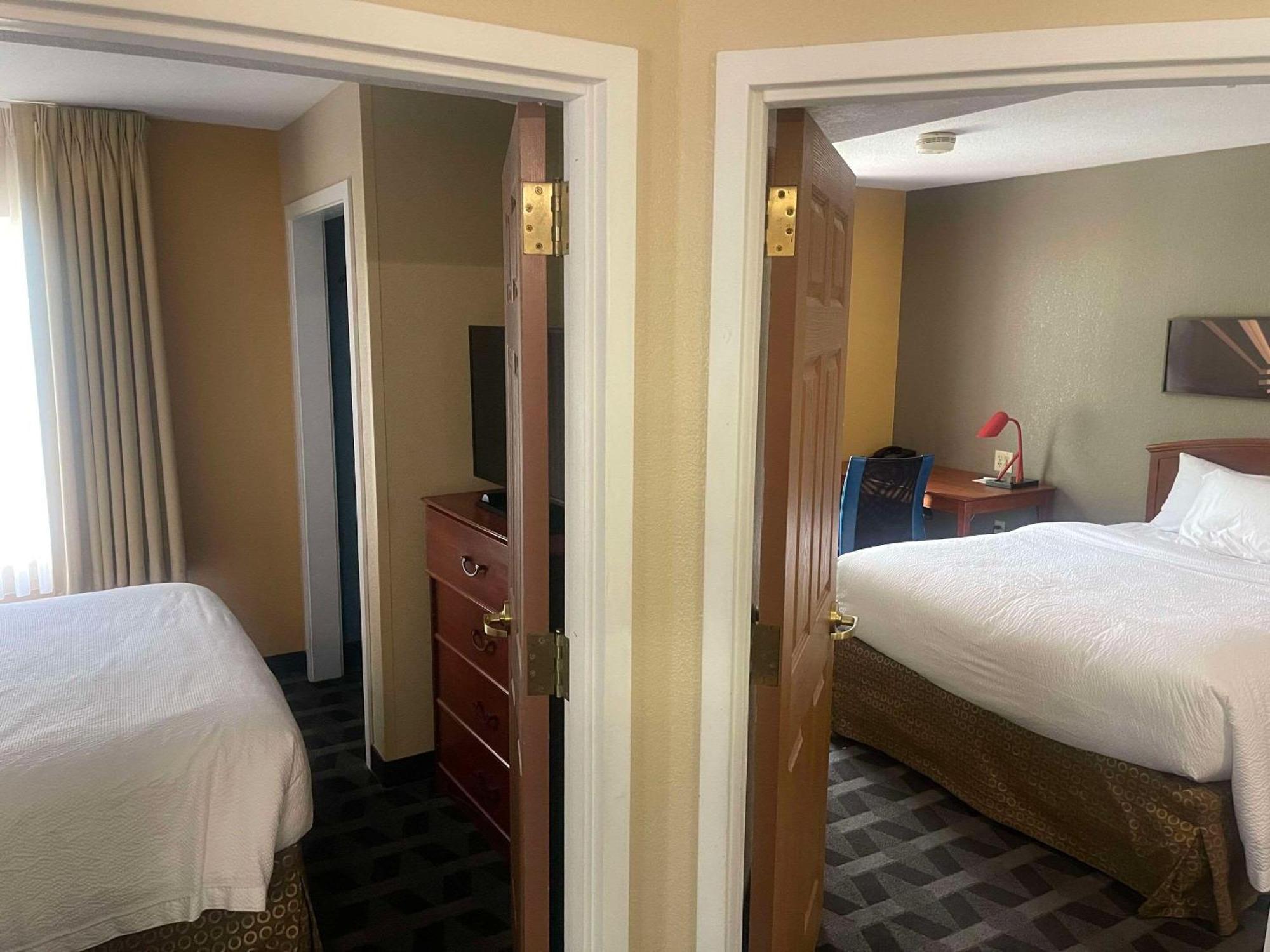 Mainstay Suites Tampa Moffitt-Usf Temple Terrace Extérieur photo